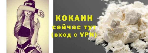 первитин Новодвинск
