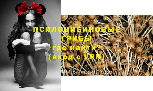 сатива Анива