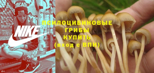 соль курить ск Нефтегорск