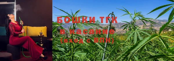 первитин Новодвинск