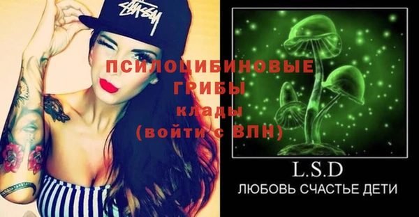 стафф Аша