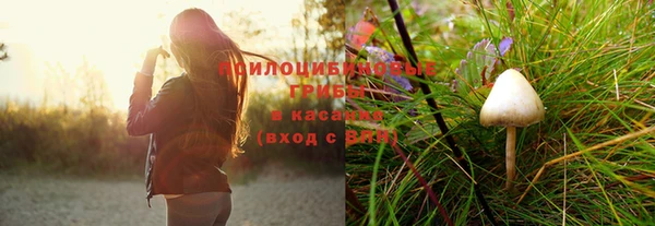 гашиш Новокубанск