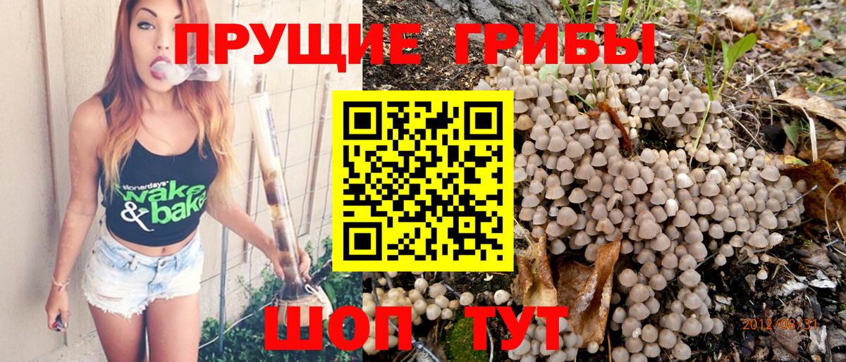 Псилоцибиновые грибы GOLDEN TEACHER Мегион