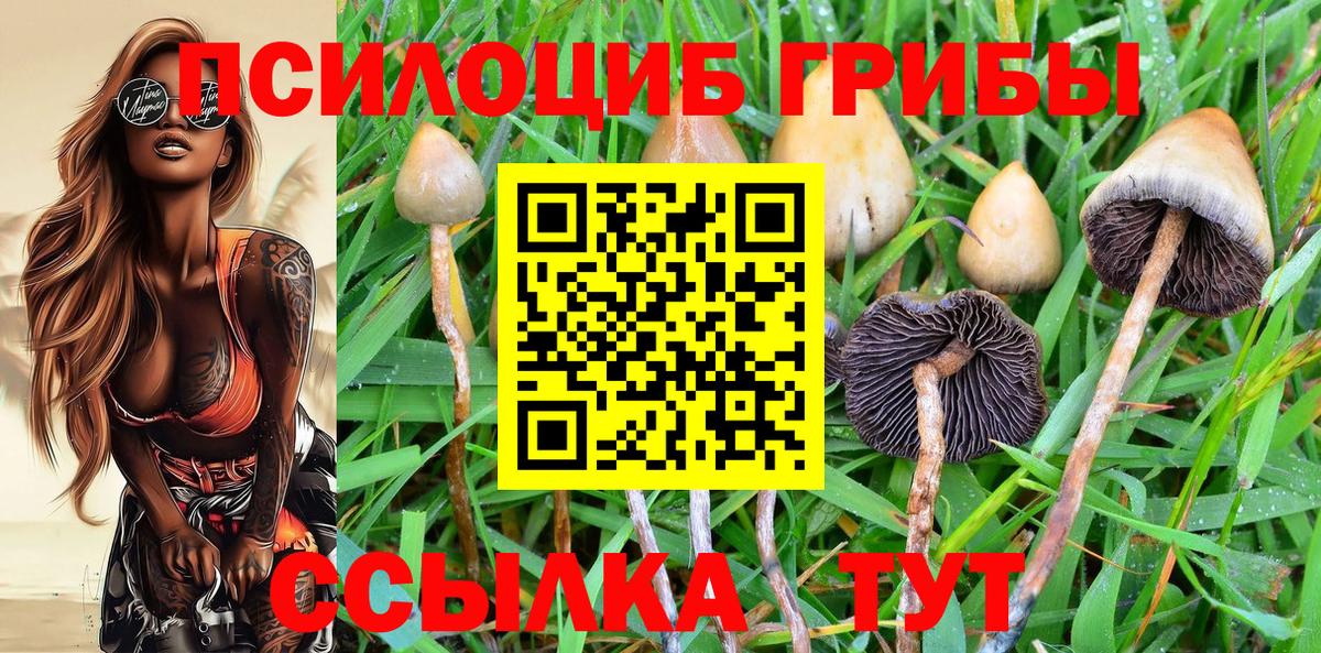 Мегион  Галлюциногенные грибы MAGIC MUSHROOMS  закладка  Псилоцибиновые грибы GOLDEN TEACHER  Вход с VPN 