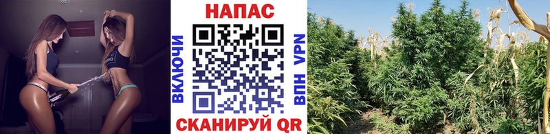 магазин  наркотиков  МЕГА зеркало  Канабис OG Kush  Мегион 